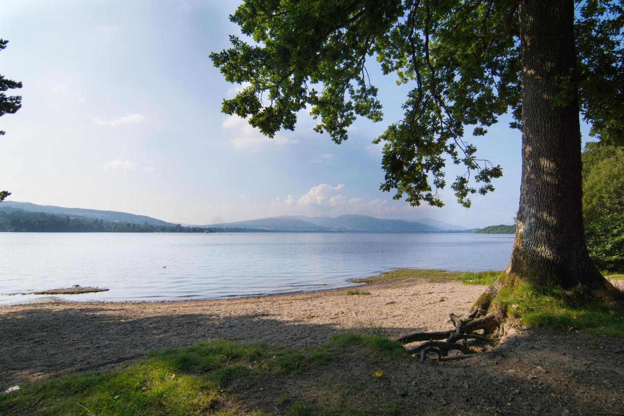 Norwood Guesthouse-Loch Lomond Баллок Номер фото